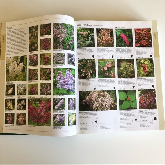 New Encyclopedia of Plants and Flowers The Royal Horticultural Society Book - Picture 8 of 13